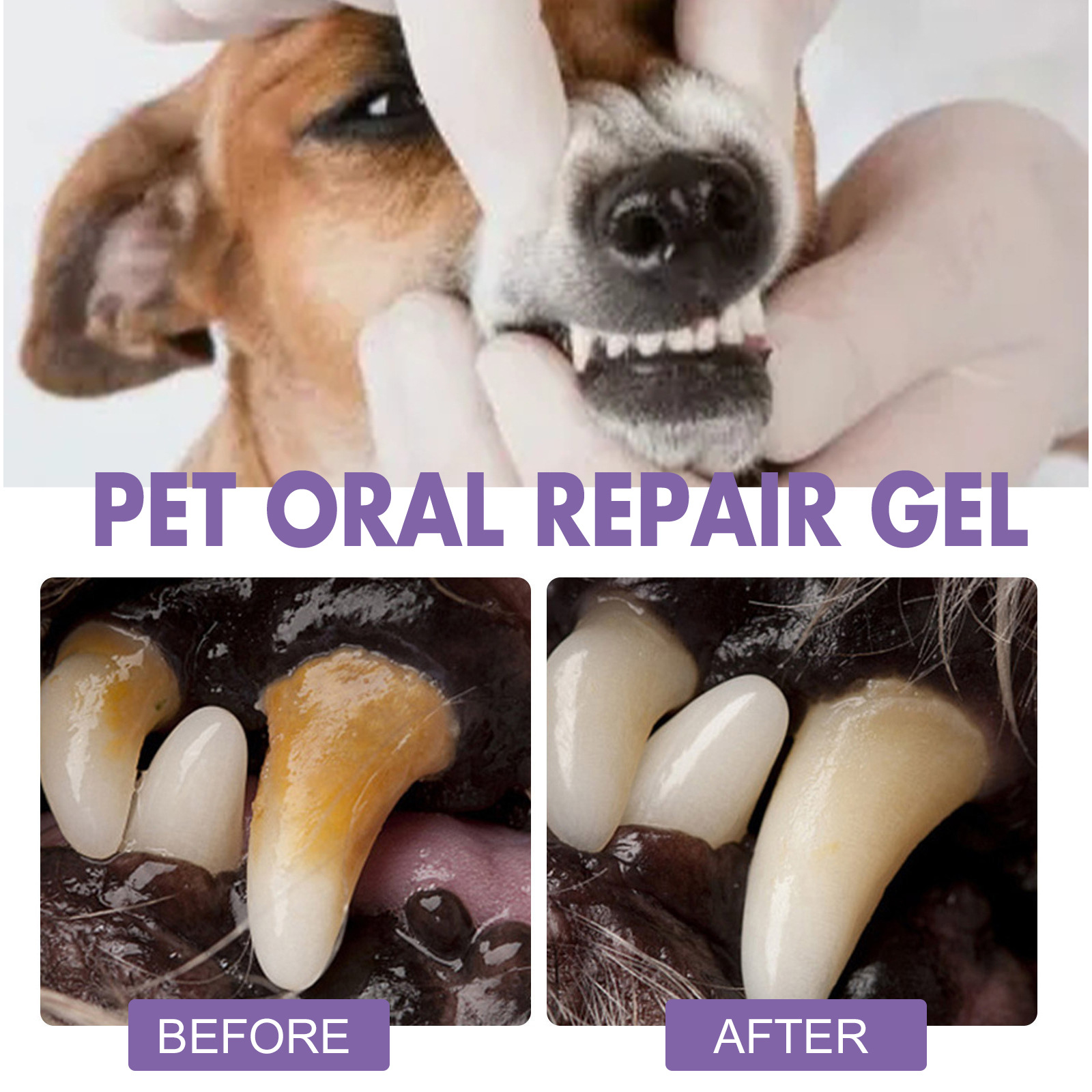 Gel de reparação oral para ani - Teeth Whitening Essence avaliação e preço